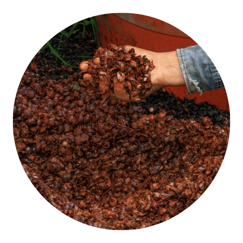 adubacao-e-nutricao-do-solo-solucoes-jardinagem-stop-gramas-fortaleza-ce