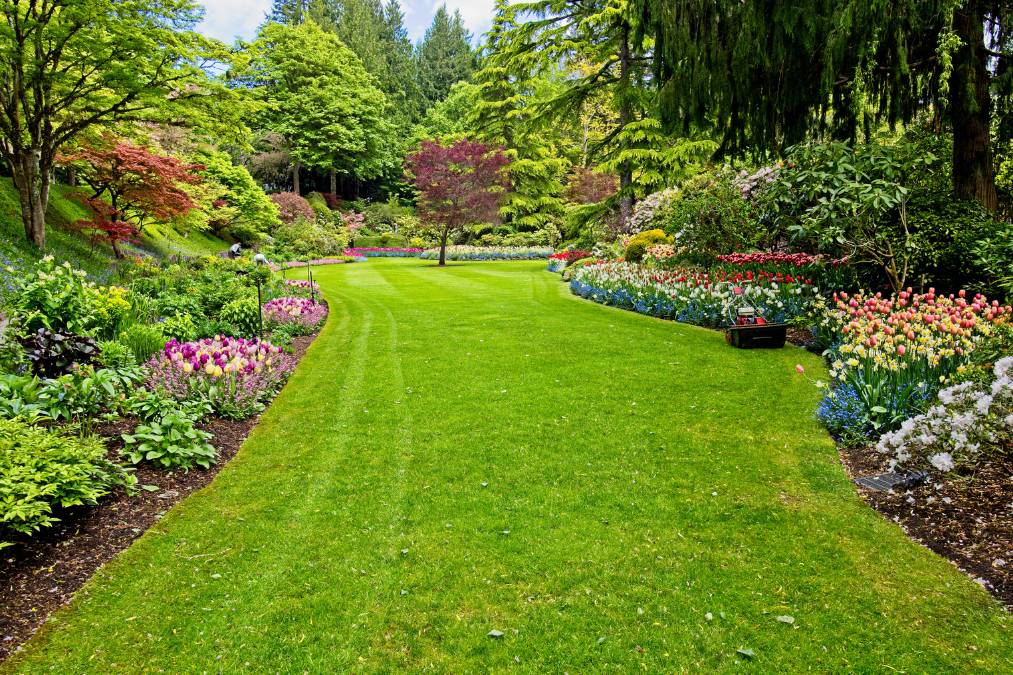 como-escolher-a-grama-ideal-para-seu-jardim-post-blog-stop-gramas-ceara