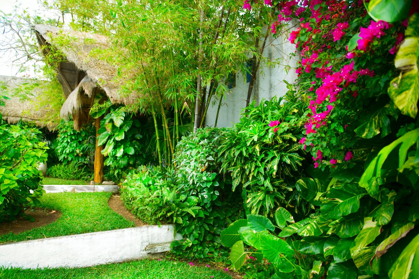 como-o-paisagismo-pode-transformar-seu-ambiente-post-blog-stop-gramas-ceara