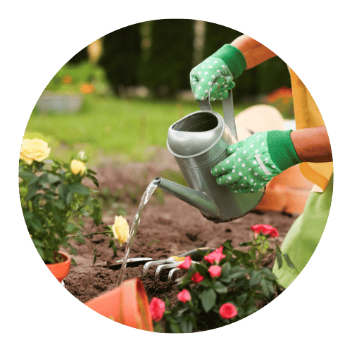 consultoria-em-jardinagem-solucoes-jardinagem-stop-gramas-fortaleza-ce