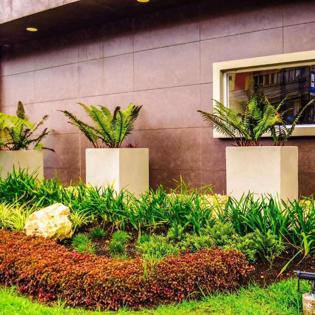 jardinagem-em-areas-comerciais-stop-gramas-fortaleza-ce