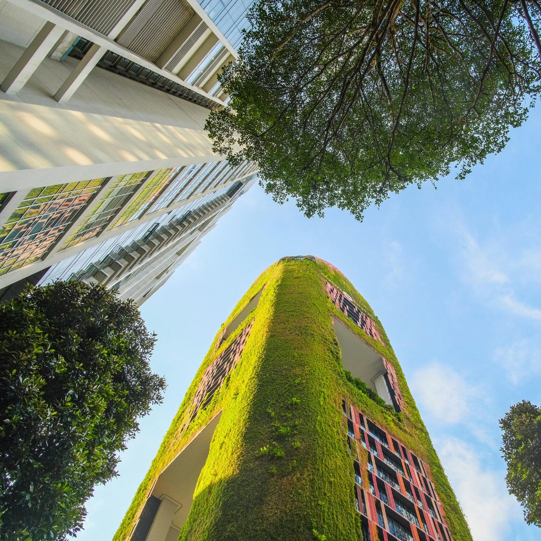 jardinagem-em-empresas-stop-gramas-fortaleza-ce
