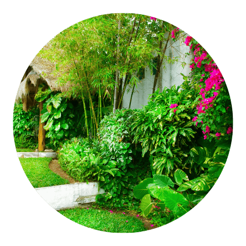 paisagismo-funcional-e-decorativos-solucoes-jardinagem-stop-gramas-fortaleza-ce
