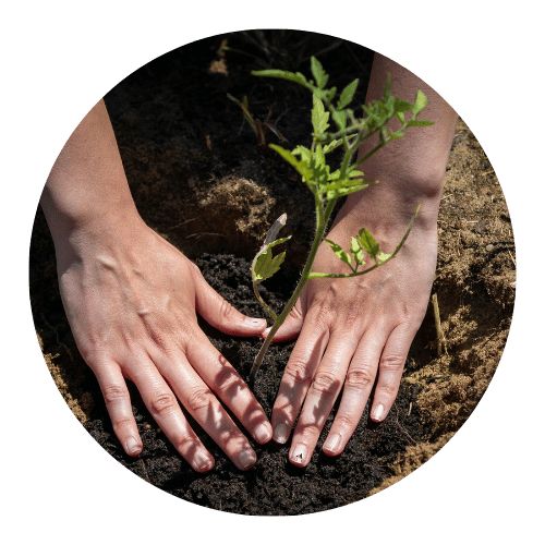 preparacao-de-solo-solucoes-jardinagem-stop-gramas-fortaleza-ce