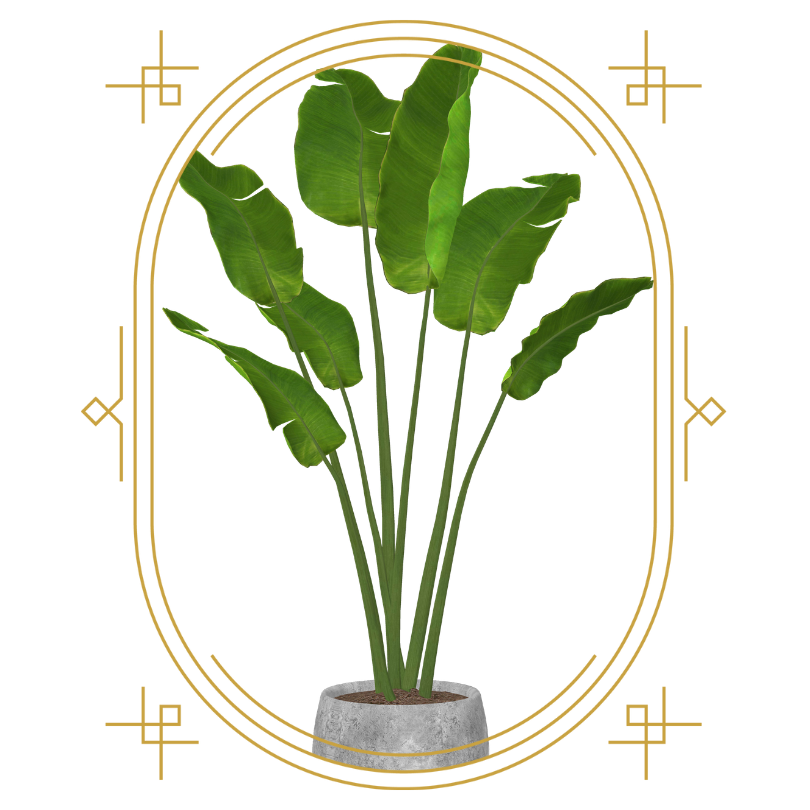stop-gramas-servico-de-locacao-de-plantas-em-fortaleza-ce