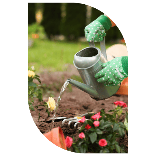 consultoria-em-jardinagem-em-fortaleza-stop-gramas
