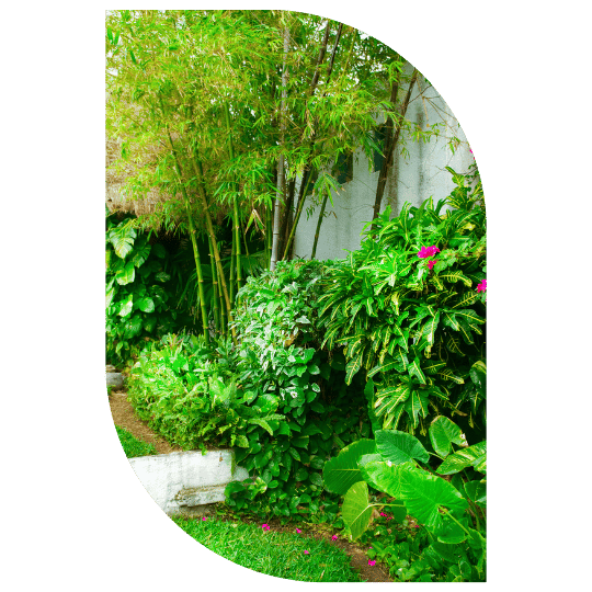 paisagismo-funcional-e-decorativos-em-fortaleza-stop-gramas