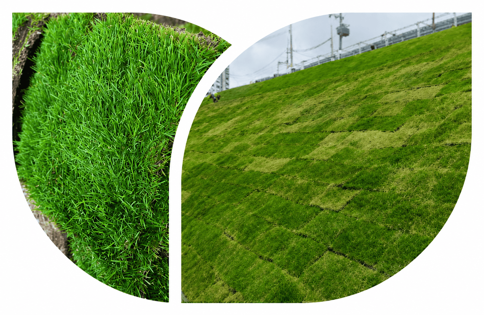 empresa-de-gramas-naturais-no-ceara-stop-gramas-_1_