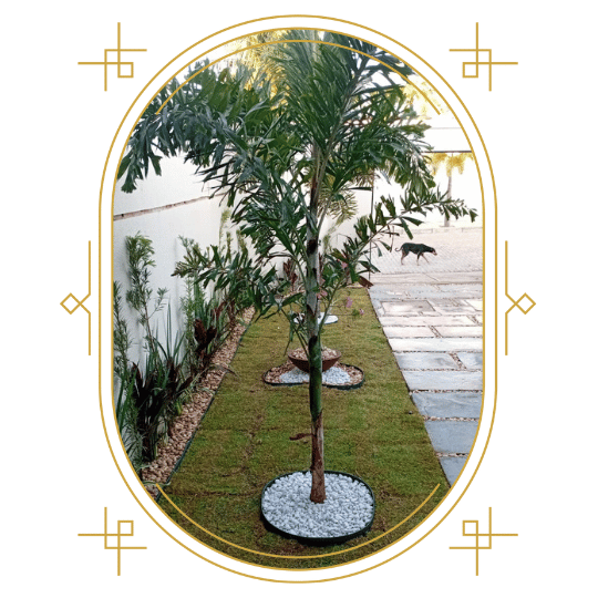 projetos-paisagistas-executados-stop-gramas-ceara