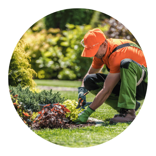 servicos-da-stop-jardinagem-no-ceara